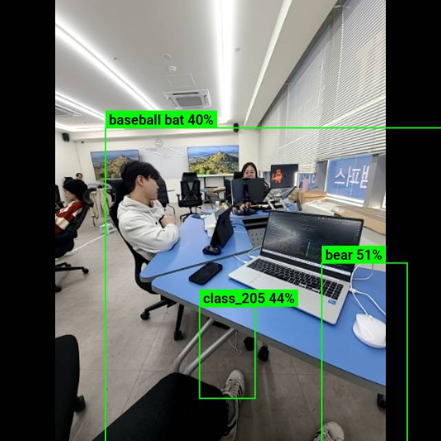 모델 출력 형식을 잘못 입력하여 사물을 잘못 인식한 두 번째 사례